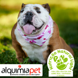 sache-alquimiapet-light-petobeso