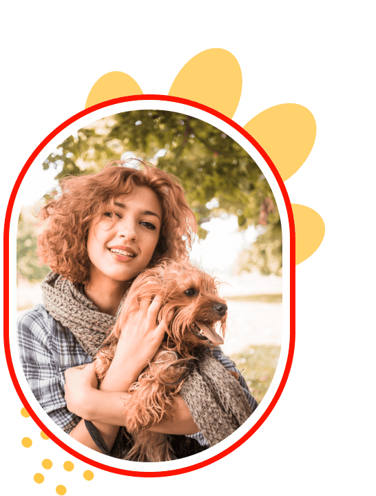 Alquimiapet - Alimento que transforma para cães e gatos